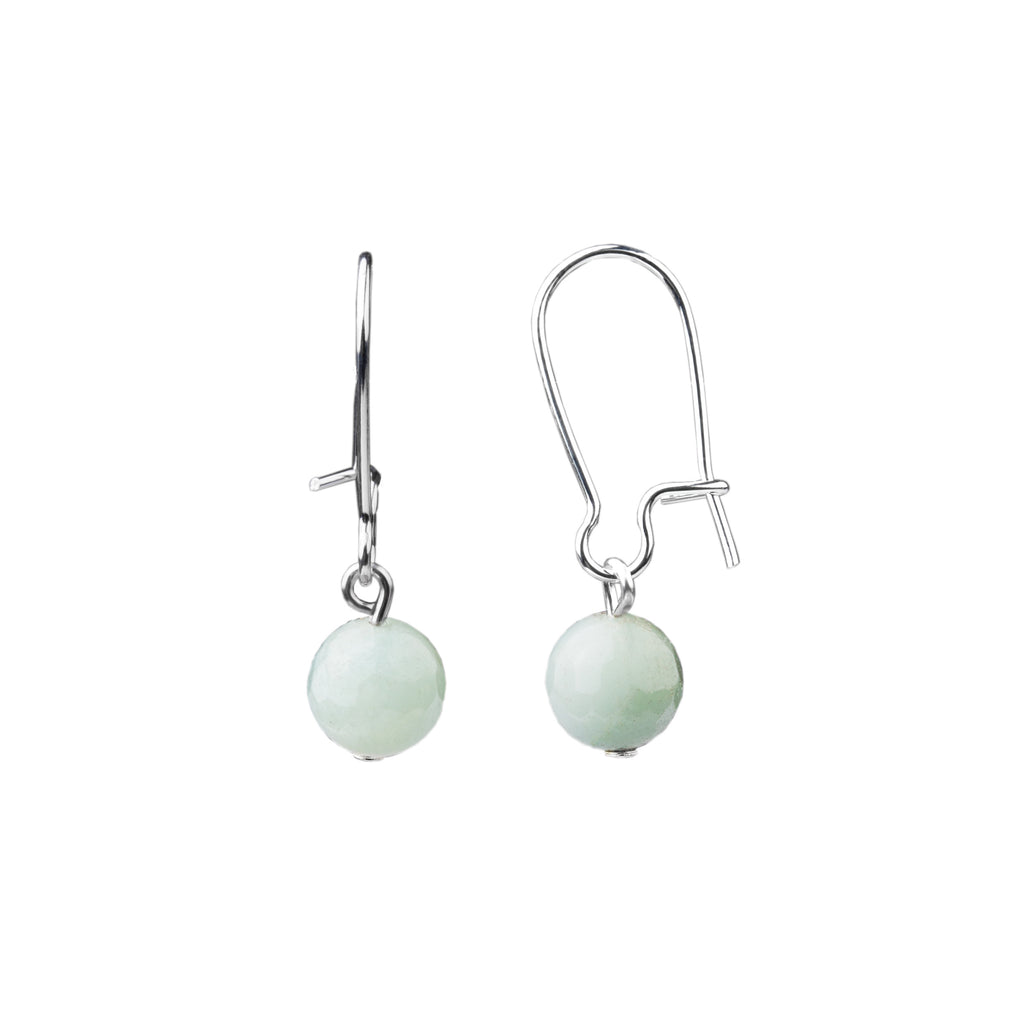 Earring | Kidney Wire - Small  | Amazonite
